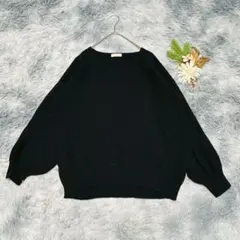 アースミュージックアンドエコロジー (F) 長袖ニット セーター Ｖネック 黒