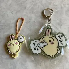 ⑩ちいかわ　アクリルキーホルダー　ラバーチャーム　2種セット　うさぎ　ガチャ