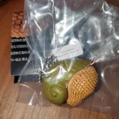 Item thumbnail for item 03f87183-4512-487b-af6c-58ae49c3839d