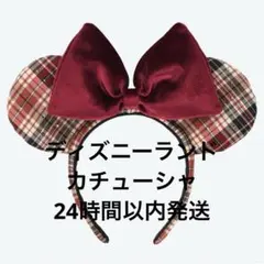 東京ディズニーランド シー　ミニー　ミッキー　カチューシャ　限定　チェック　赤