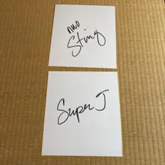 貴重】WWEプロレス ババ・レイ＆ディーボン ダッドリーチーム3Dサイン