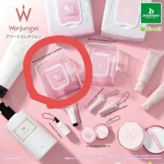 Wonjungyoアソートコレクション モイストアップレディスキンパックDM N