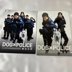 Item thumbnail for item 306aae61-0d44-4a1e-a7fd-a7b9479894d5