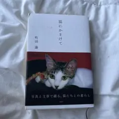 猫にかまけて