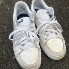 Item thumbnail for item d10627a1-7991-4202-81ba-55611f4df86f