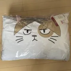 Item thumbnail for item 19a0d4b3-e47a-46ad-8358-dac5adadd61c