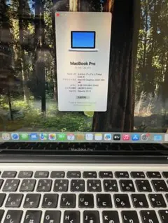 MacBook Pro 2.4GHz i5 4GB