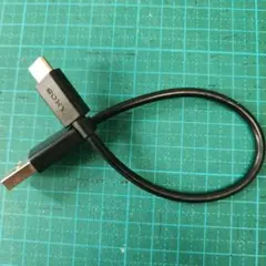 SONY WF-1000XM4 USB Type-Cケーブル
