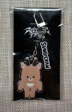 2025年最新】SUNGCHANの人気アイテム - メルカリ