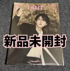 stray kids スキズ　DO IT アルバム　新品未開封　チャンビン