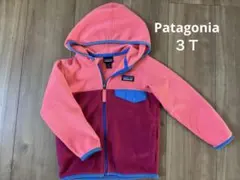 Patagonia フリースジャケット