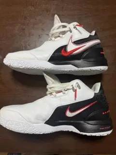 値下げ　レブロン29㎝