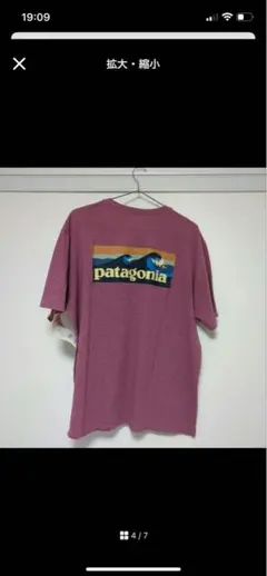 Patagonia パタゴニア　レア　Tシャツ