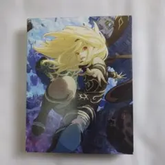 PS4ソフト　グラビティデイズ2　動作確認済み