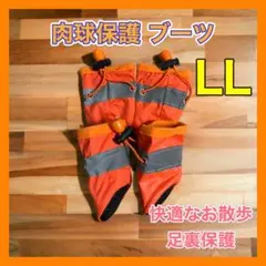 Item thumbnail for item 5daaf34e-0de6-48c0-ac35-5877941965d8