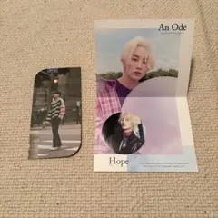 SEVENTEEN ジョンハン JEONGHAN フォト ステッカーセット