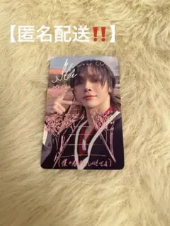 &TEAM NICHOLAS ニコラス 五月雨 トレカ 手書き ナンバリング