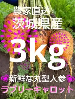 ★新鮮な丸型人参ラブリーキャロット★のサムネイル