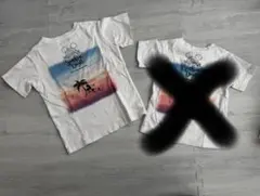 Item thumbnail for item 17d75427-6d13-44e7-9bc0-0c20956c67f2