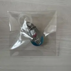 ふたりはプリキュア　めじるしチャーム