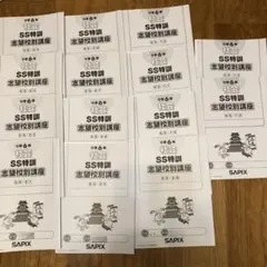 2025年最新】SS特訓の人気アイテム - メルカリ