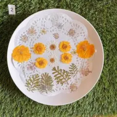 Item thumbnail for item da55cdcc-71af-422d-9d2e-fcef4f52e905