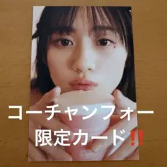 川崎 桜写真集 エチュード コーチャンフォー限定ポストカード 本日のみ値下げ‼️のサムネイル