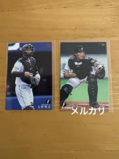 カルビー　プロ野球チップス　日本ハム　大野奨太　2枚セット