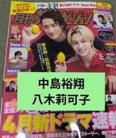月刊ザテレビジョン 4月号　中島裕翔　八木莉可子　切り抜き