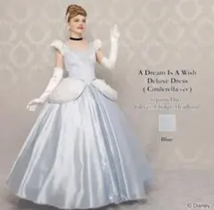 衣装 シンデレラ シークレットハニー シーハニ デラックス 仮装 Dハロ ドレス