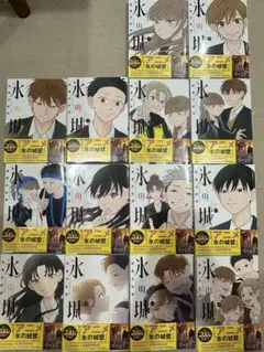 ☀️ ほぼ初版 完結良品 氷の城壁 全巻 ☀️ 氷の城壁 1〜14巻 全巻 完結 全巻初版 ほぼ全巻帯付き セット - メルカリ