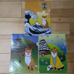 新品　柴田さんのA4クリアファイル　３枚セット