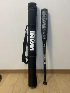 Item thumbnail for item dbf7a9a6-7b35-4c83-95ae-70c9850c9ca6