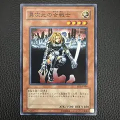 異次元の女戦士 スーパー