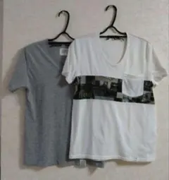 Item thumbnail for item 7493c263-0243-45fd-a498-5ebea9789e79