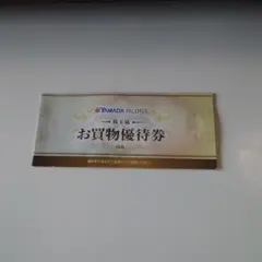 ヤマダ電機　株主優待　お買物優待券　5000円分（500円×10枚）