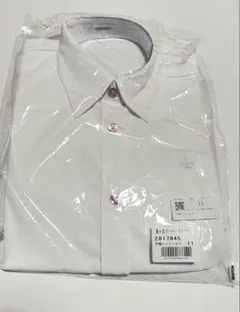 Item thumbnail for item bcf9079e-ac1e-4d9b-97cf-ad574101c568