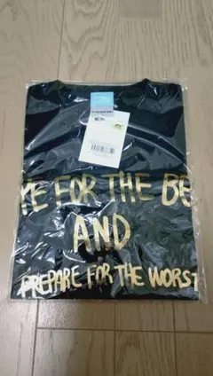 Item thumbnail for item 6f62d715-de11-4ff1-b96a-720c633da963