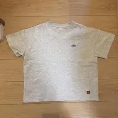 Dickies グレー 半袖Tシャツ