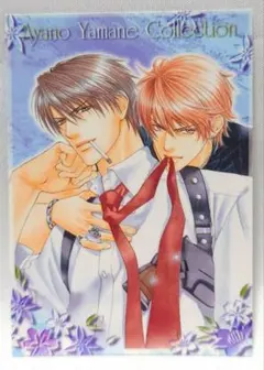 2025年最新】やまねあやの カードの人気アイテム - メルカリ