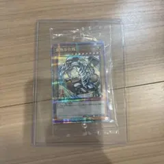 未開封 青眼の白龍 浮世絵 25th NYC1-JP001 ブルーアイズ - メルカリ
