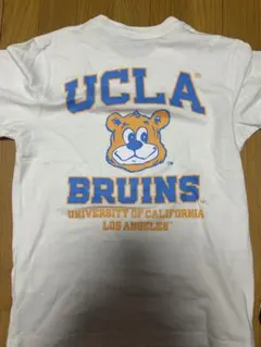 UCLA BRUINS カレッジロゴ Tシャツ ホワイト