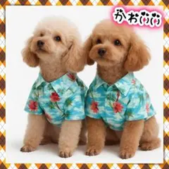 アロハシャツ 犬 猫 服 ハワイアン S M L 小型 中型 可愛い トップス