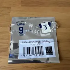 東京ヤクルトスワローズ 清水昇 シューズアクセサリー - メルカリ