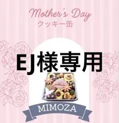 EJ様専用でございます!