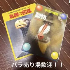 2026年最新】小学館の学習百科図鑑の人気アイテム - メルカリ