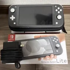 Nintendo Switch Lite グレー