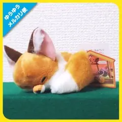 tumo様 リクエスト 2点 まとめ商品