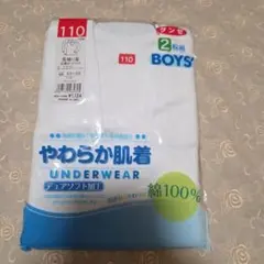 Item thumbnail for item 2b2aa601-1b61-4072-b80f-6e86c7558b31