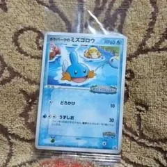 未開封 ポケパークのミズゴロウ　048/PCG-P ポケモンカードゲーム プロモのサムネイル